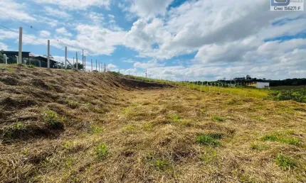 Terreno à venda na Variante Américo Pedro Benedette, 100, Zona Rural, Pinhalzinho