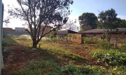 Terreno comercial para alugar na Rua Yanomanis, Santo Onofre, Cascavel