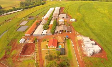 GRANJA COMPLETA A VENDA EM BOM PRINCIPIO TOLEDO - PR