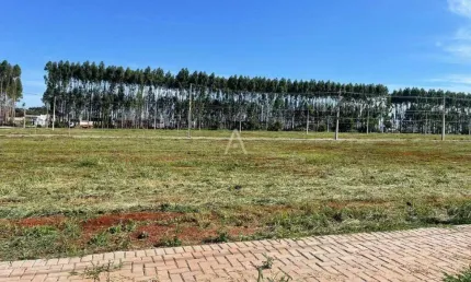 Terreno à venda no Bairro TROPICAL IV em CASCAVEL por R$ 319.000,00