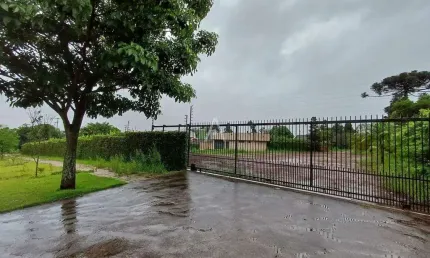 Terreno comercial para alugar na Rua Francisco Beltrão, Nova York, Cascavel