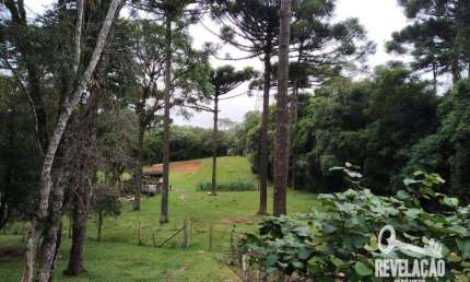 Chácara com 3 dormitórios à venda, 33000 m² por R$ 1.200.000,00 - Contenda - São José dos Pinhais/PR