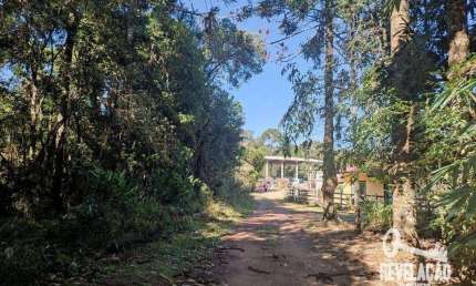 Chácara com 1 dormitório à venda, 52000 m² por R$ 2.000.000,00 - Cachoeira - São José dos Pinhais/PR