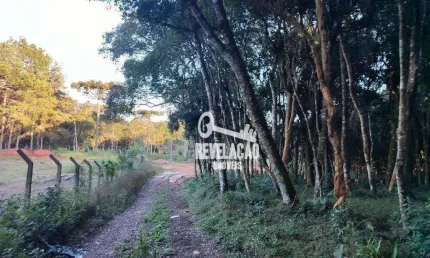 Chácara à venda, 3054 m² por R$ 499.000,00 - Borda Do Campo - São José dos Pinhais/PR