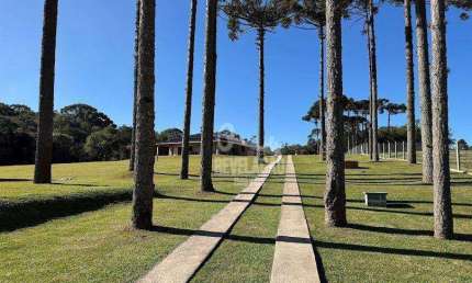 Chácara / sítio com 2 quartos à venda no Ribeirão Grande, Agudos do Sul 