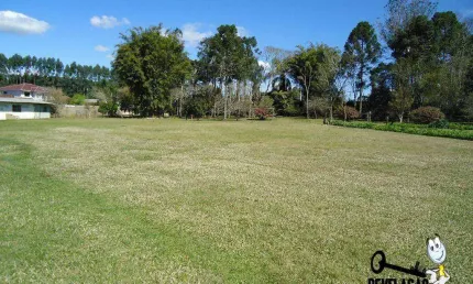 Área à venda, 18000 m² por R$ 3.780.000,00 - Rio Pequeno - São José dos Pinhais/PR
