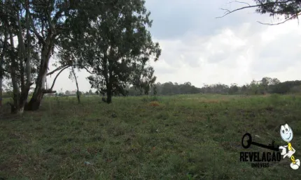 Área à venda, 85000 m² por r$ 33.150.000,00 - planta quississana - são josé dos pinhais/pr
