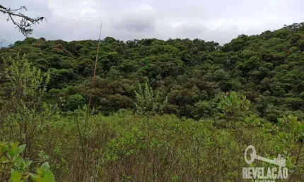 Área à venda, 179300 m² por R$ 620.000,00 - Colônia Murici - São José dos Pinhais/PR