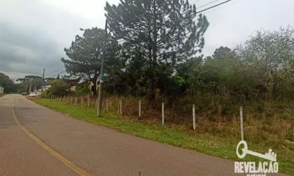 Terreno à venda, 2213 m² por r$ 2.800.000,00 - aristocrata - são josé dos pinhais/pr
