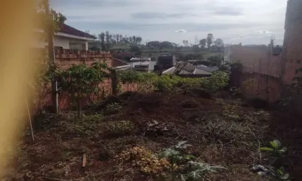 Terreno padrão (rua), Vila Virgínia, Ribeirão Preto - SP