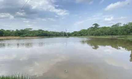 Fazenda para Venda em Nossa Senhora do Livramento, 23 de Setembro, 3 dormitórios