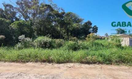 Terreno comercial à venda na Rua Vereador Nicolino Melantônio, Balneário Eliane, Guaratuba