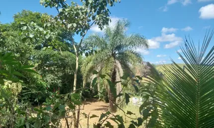 Terreno à venda na rua ernani josé nunes, 00, lourdes, conselheiro lafaiete, 4700 m2 por r$ 320.000