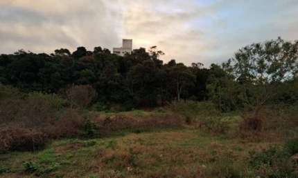 Terreno à venda na Servidão Nila Dutra, Areias, São José por R$ 280.000