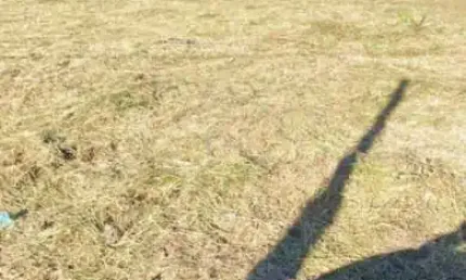 Terreno à venda na josé joão garcia, 34, bela vista, palhoça por r$ 230.000