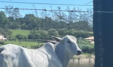 Fazenda à venda na Zona Rural, Araruama 