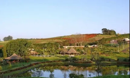Terreno à venda, 1376 m² por R$ 950.000,00 - Zona Rural - Londrina/PR