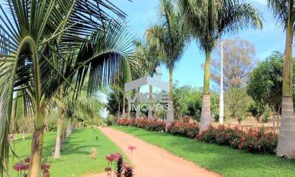 SITIO A VENDA EM AMPARO, SITIO NOVA ALVORADA COM MATA NATIVA.