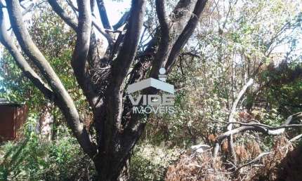TERRENO À VENDA EM CAMPINAS | FAZENDA SANTA CANDIDA - CAMPINAS.