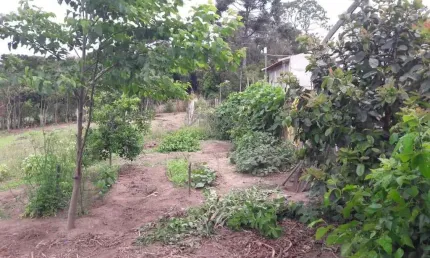 Terreno à venda na Estrada Passa Dois, Passa Dois, Lapa