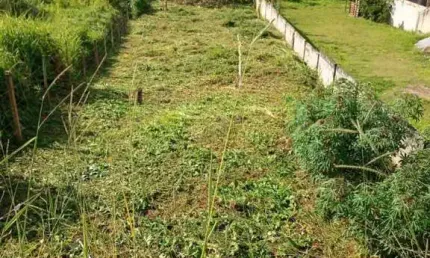 Terreno à venda no Grama, Juiz de Fora 