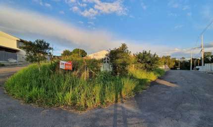 Terreno à venda na Rua Leon Malinosvski, Nova Trento, Campo Largo por R$ 188.000