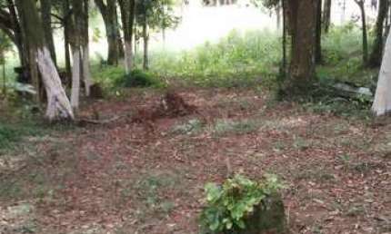Terreno à venda na Estrada Municipal, Zona Rural, Biritiba-Mirim