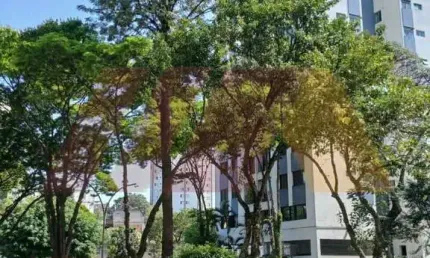 Apartamento de 2 dormitórios, sala 2 ambientes, cozinha e banheiro a venda no lauzane paulista