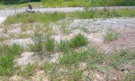Terreno à venda na Av Ronaldo Beltran Saraceni, --, Residencial Jardim Nazaré I, Guarulhos por R$ 175.000