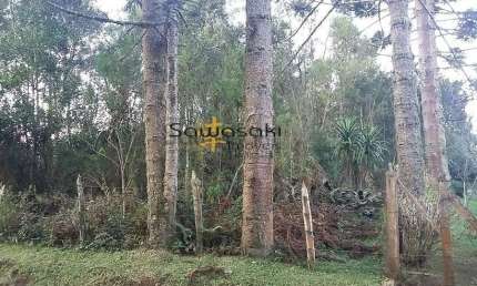 Terreno Lote para Venda em Rio de Una São José dos Pinhais-PR
