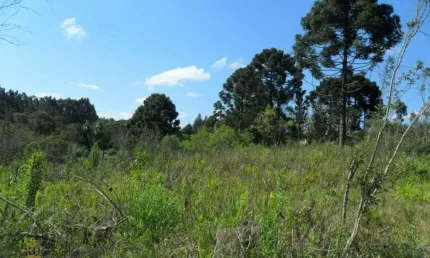Terreno à venda na Br 116 - Bairro Santo Amaro, Areia Branca dos Assis, Mandirituba