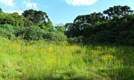 Terreno à venda na Rua Coronel João Antônio Xavier, 386, Centro, Araucária