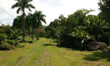 Chácara / sítio com 1 quarto à venda na Rua Rio Das Pedras, s/n, Centro, Antonina