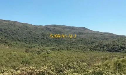Fazenda à venda na Região De Araçatuba Em Tijucas Do Sul, Centro, Tijucas do Sul