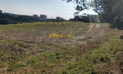 Terreno para Venda em Campina da Barra Araucária-PR