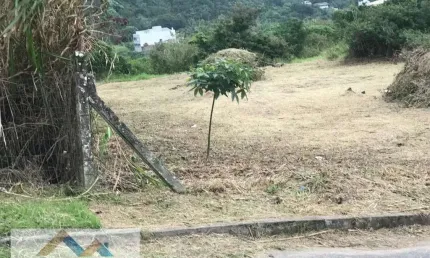 Lote/terreno à venda em ingleses do rio vermelho - florianópolis