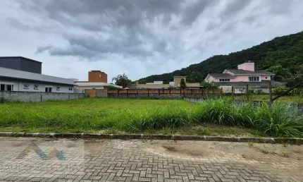 Terreno à venda na Av Luiz Boiteaux Piazza, 4444, Cachoeira do Bom Jesus, Florianópolis