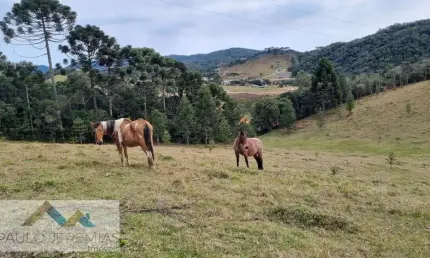 Sítio em rancho queimado - oportunidade para investimento