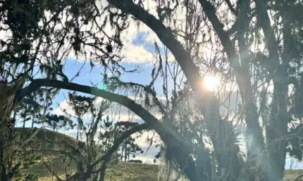 Fazenda à venda em rancho queimado, 280.000m² | vargedo
