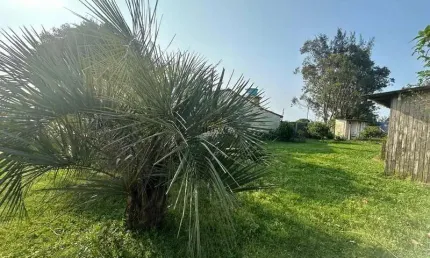 Terreno à venda no Santa Terezinha (Distrito), Imbé 