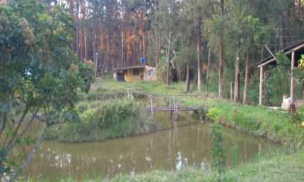 EXCELENTE CHÁCARA COM ESCRITURA DE 12.000 M²/CASA SEDE/ LAGO À VENDA EM MOGI DAS CRUZES