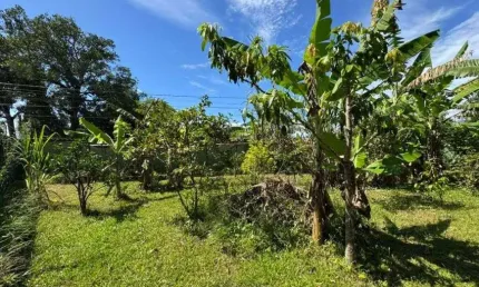 Terreno à venda na Praça Ângelo Guerra, 53, Jardim das Palmeiras, Itanhaém