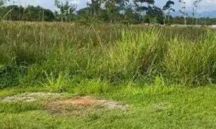 Terreno em condomínio fechado à venda na Avenida Padre Anchieta, 6840, Jardim Casablanca, Peruíbe