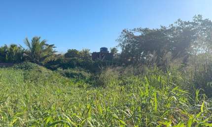 Terreno frente mar com liberação ambiental em Itanhaém.