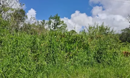 Terreno à venda na Praça Ângelo Guerra, 14083, São Fernando, Itanhaém