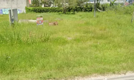 Terreno à venda na Av. Beira Mar, 640, Pontal do Sul, Pontal do Paraná