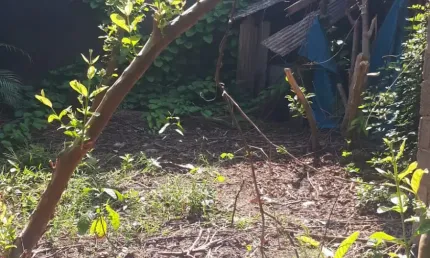 Terreno 300m², bairro Jardim Santense, em Guarujá/SP