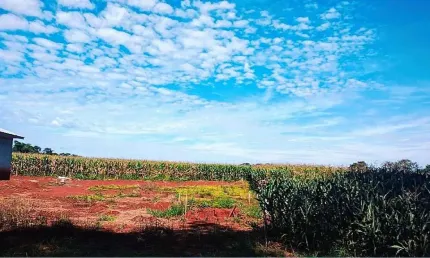 Bairro arroio dourado zona rural fácil acesso, foz do iguacu - pr