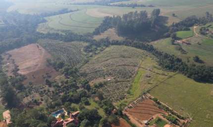 Terreno comercial à venda na Estrada Municipal De Caiacatinga - Ao Lado Do Haras Egd, 1000, Caiacatinga, Porto Feliz
