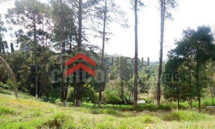 Terreno comercial para alugar na Lagoa, 210, Centro, Vargem Grande Paulista por R$ 15.000